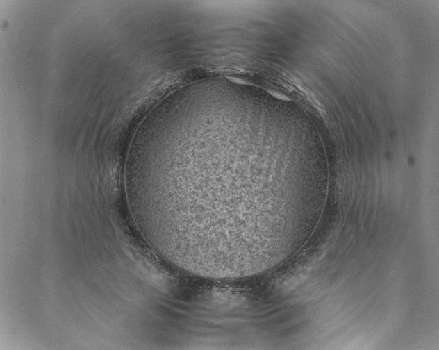 X0000088580641200706081124