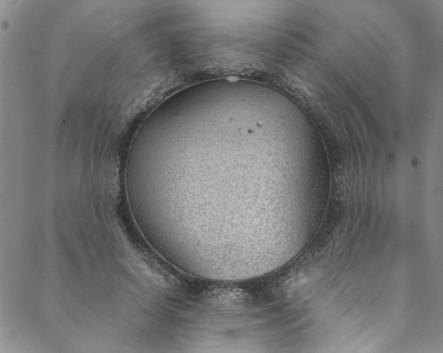 X0000088580642200706081124