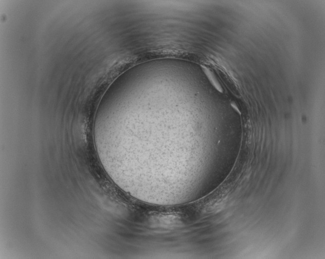 X0000088580643200706081124