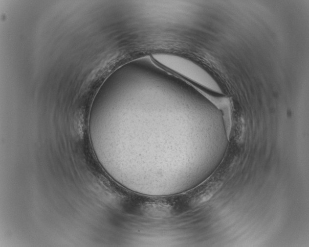 X0000088580644200706081124