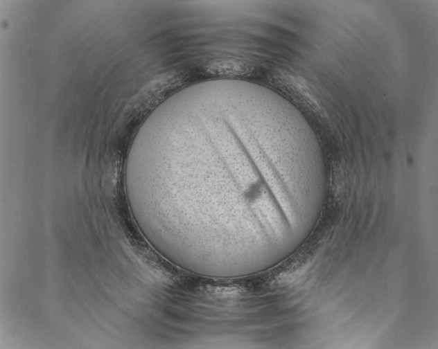 X0000088580645200706081124