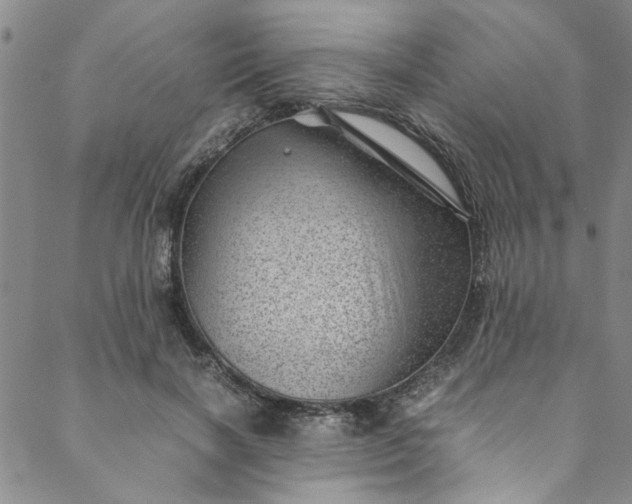 X0000088580646200706081124