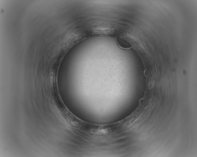 X0000088580647200706081124