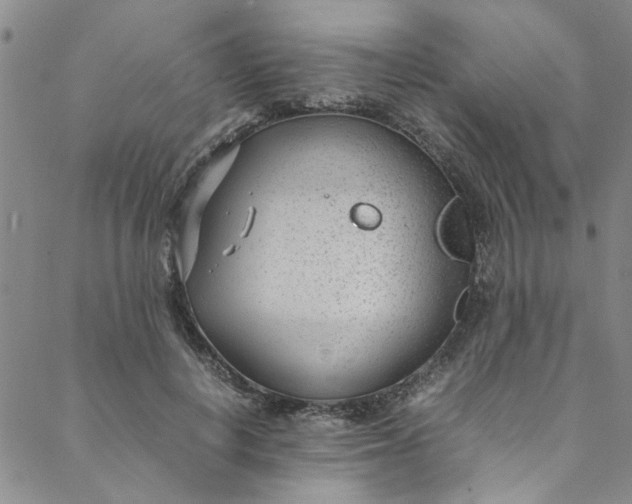 X0000088580648200706081124