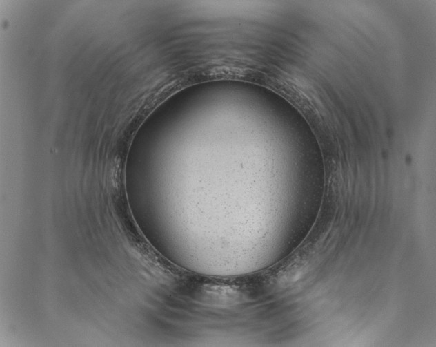 X0000088580649200706081124