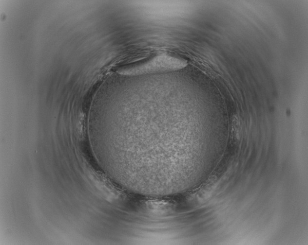 X0000088580650200706081124