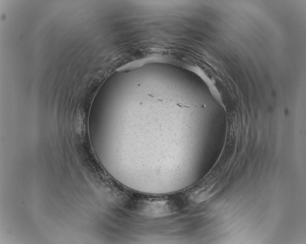 X0000088580651200706081124