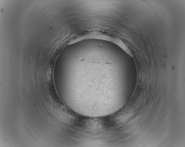 X0000088580652200706081124