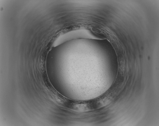 X0000088580653200706081124