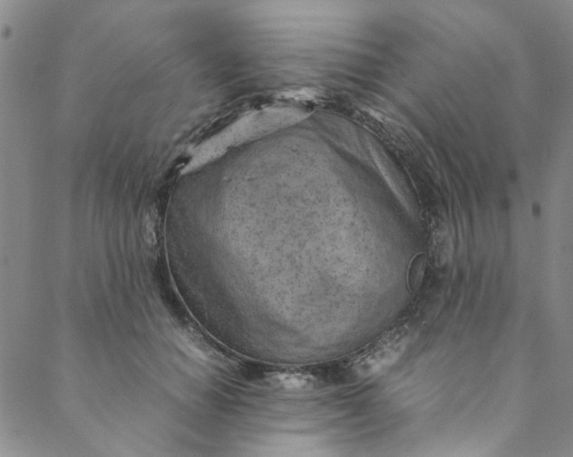 X0000088580654200706081124