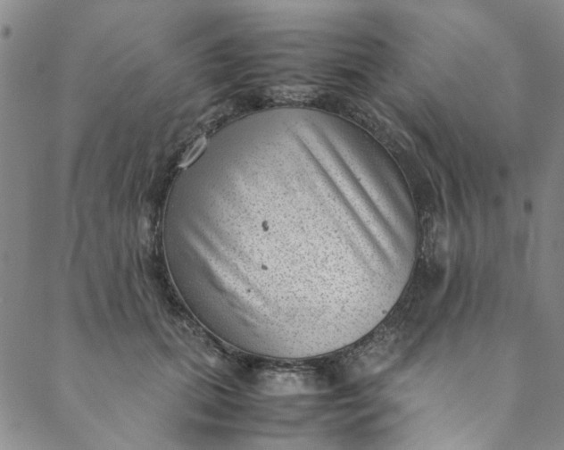 X0000088580655200706081124