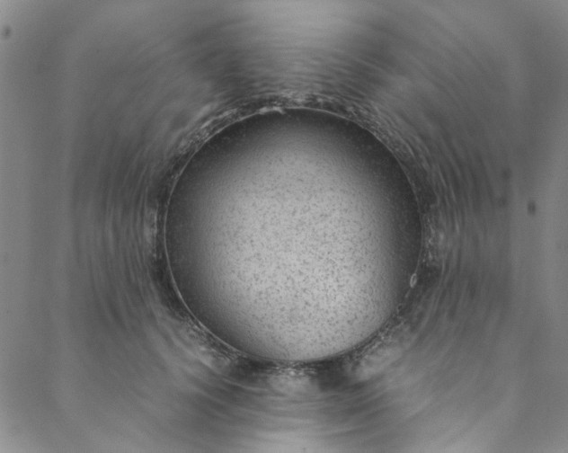 X0000088580656200706081124