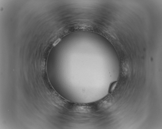 X0000088580657200706081124