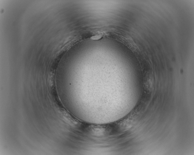 X0000088580658200706081124