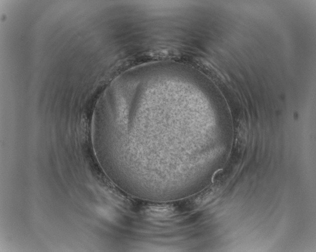 X0000088580659200706081124