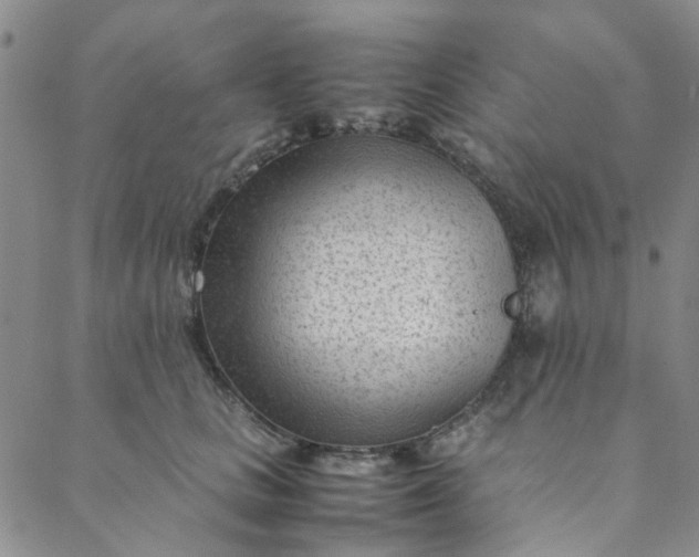 X0000088580661200706081124