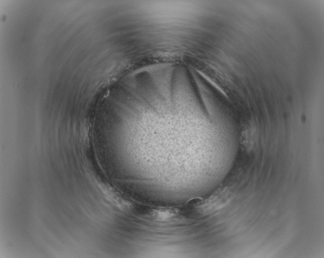 X0000088580662200706081124