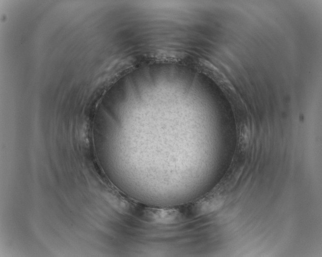 X0000088580663200706081124