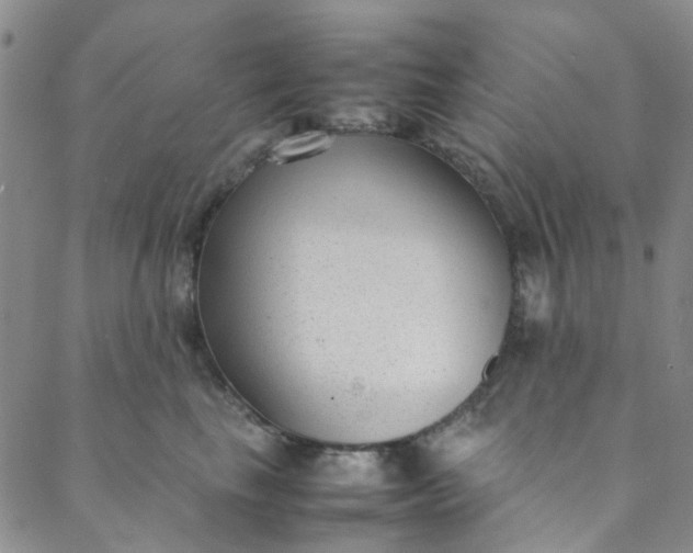 X0000088580665200706081124