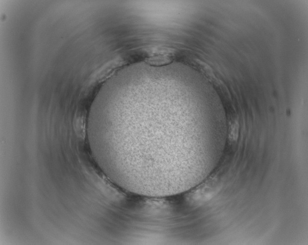 X0000088580666200706081124