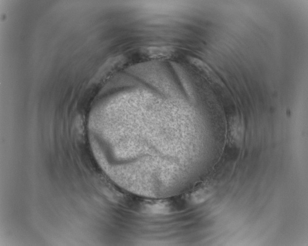 X0000088580667200706081124