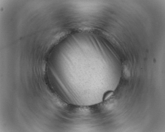 X0000088580668200706081124