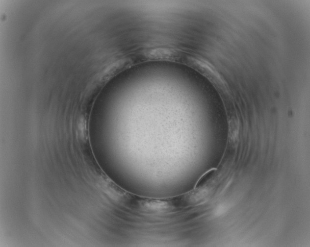 X0000088580669200706081124