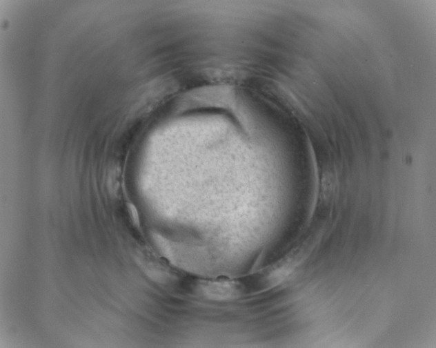 X0000088580671200706081124