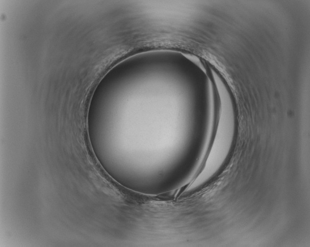 X0000088580673200706081123