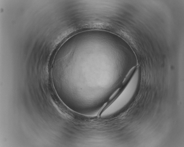 X0000088580674200706081123