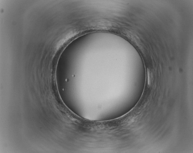 X0000088580675200706081123