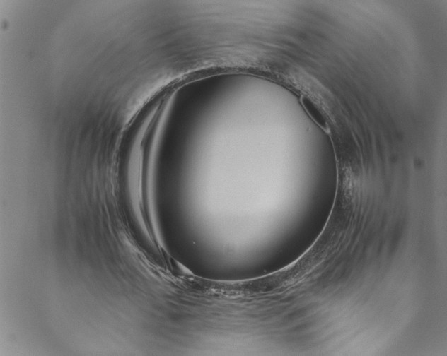 X0000088580676200706081123