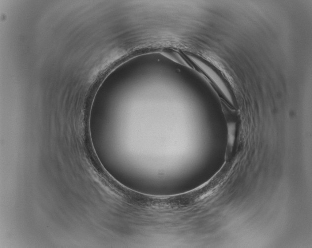 X0000088580677200706081123