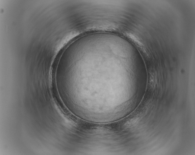 X0000088580678200706081123