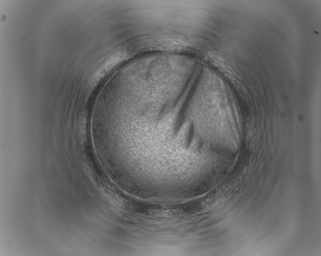 X0000088580679200706081123