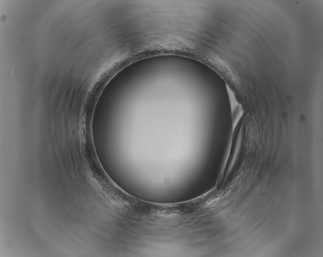 X0000088580680200706081123