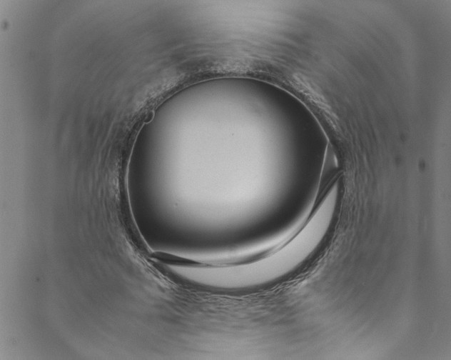 X0000088580681200706081123