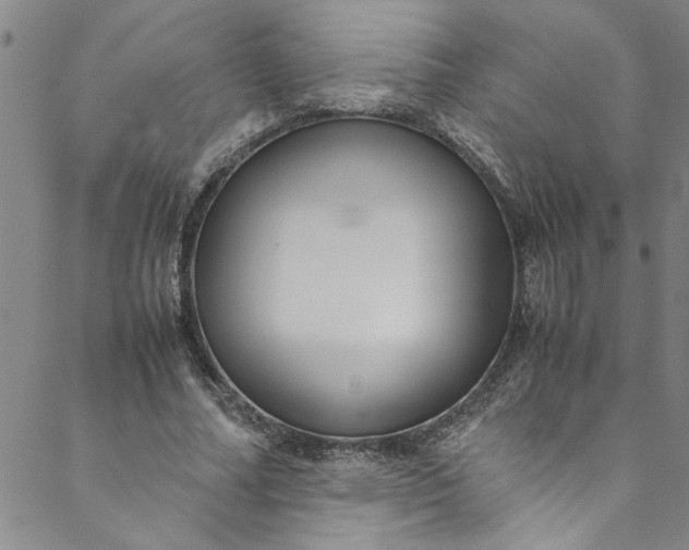 X0000088580682200706081123