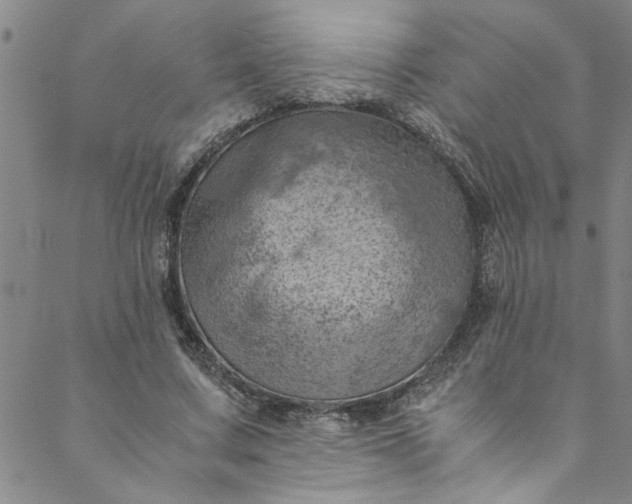 X0000088580683200706081123