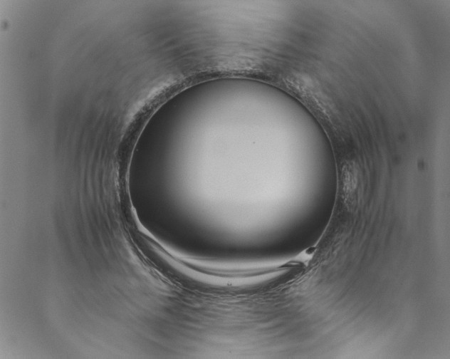 X0000088580684200706081123