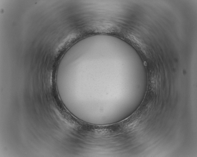 X0000088580686200706081123