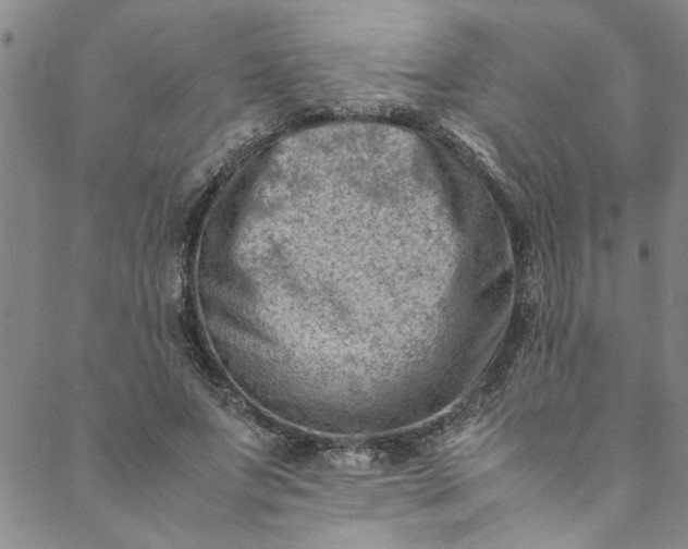 X0000088580687200706081123