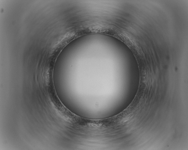 X0000088580690200706081123