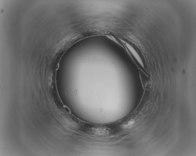 X0000088580693200706081123