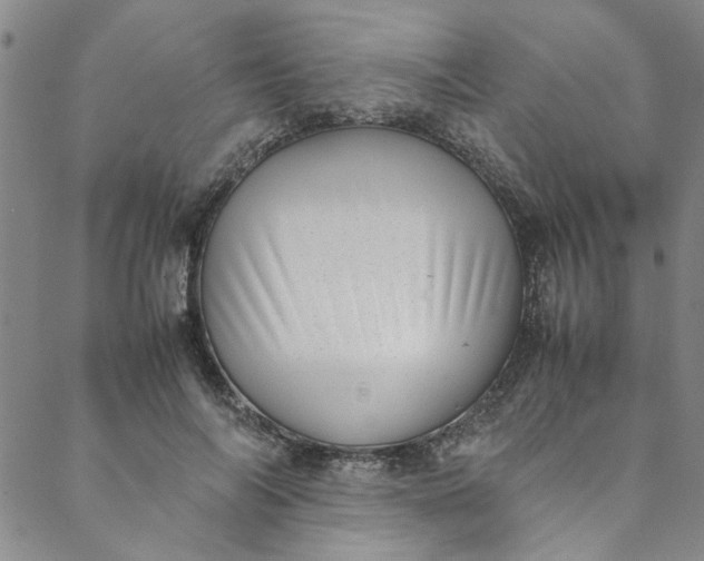 X0000088580694200706081123