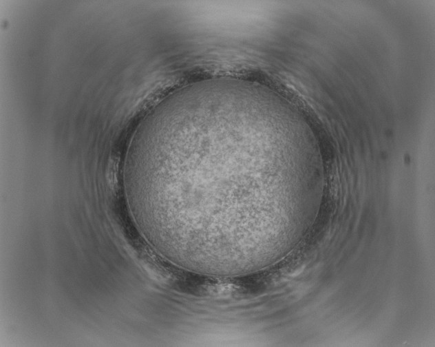 X0000088580695200706081123