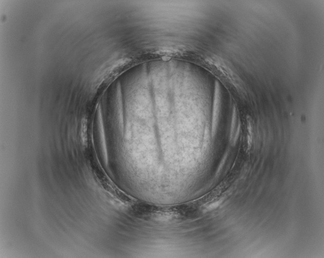 X0000088580696200706081123