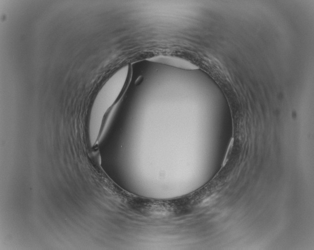 X0000088580697200706081123