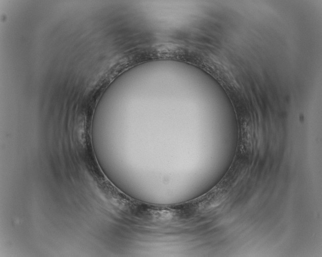 X0000088580698200706081123