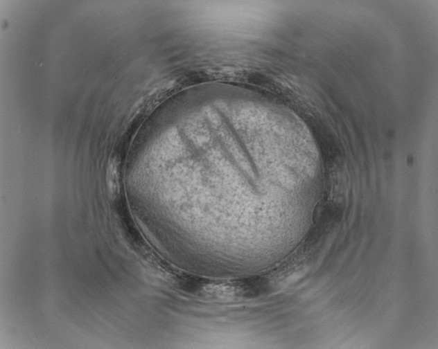 X0000088580699200706081123